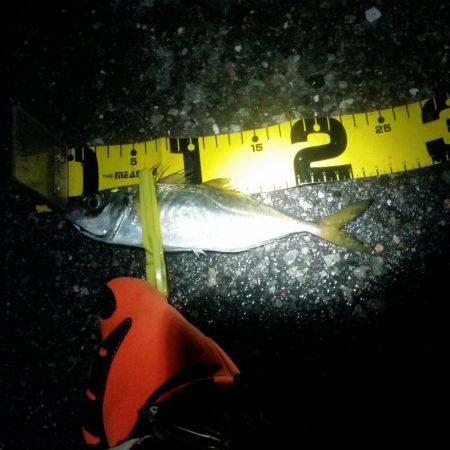 ファミリーフィッシング　GAME