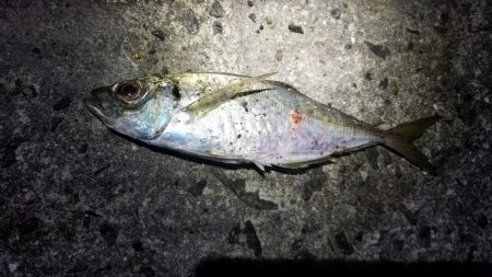 ジグ単アジング