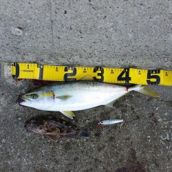 早朝プチsalt water game!