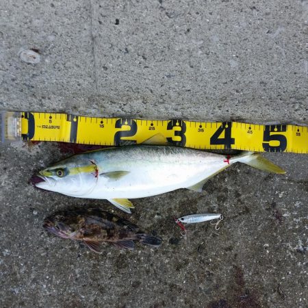 早朝プチsalt water game!