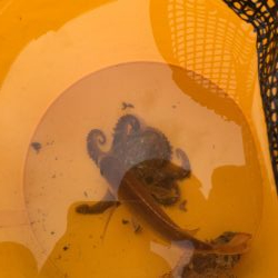 ファミリーフィッシング