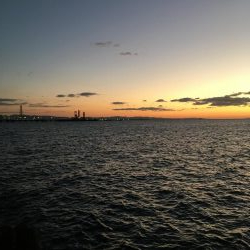 厳しいアジング