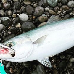 ショアジギ遠征