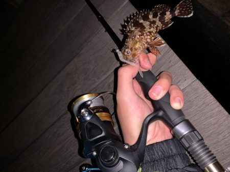 ライトゲーム！フォールで連発！