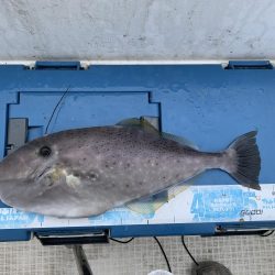 マイボート釣行