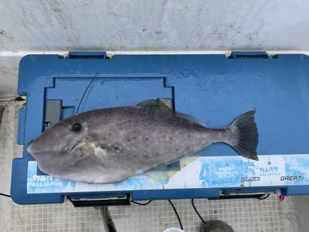 マイボート釣行