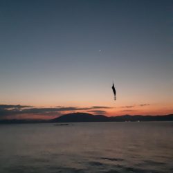 イカの気持ち６ 第３部