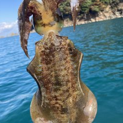 今シーズン最終戦！