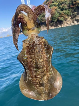 今シーズン最終戦！