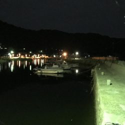 ライトエギング