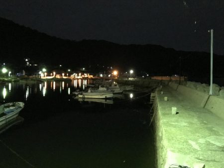 ライトエギング