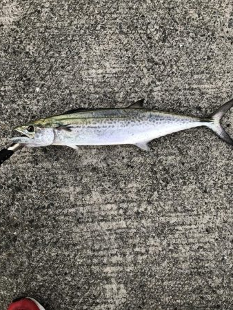 かなりの高活性