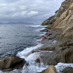 リベンジ成功！