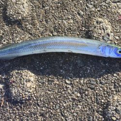 ミラクル of the 早巻