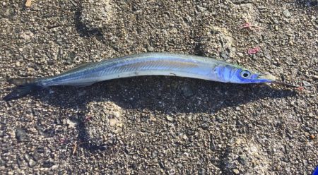 ミラクル of the 早巻