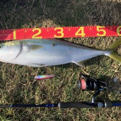 アジングからの〜ショアジギ