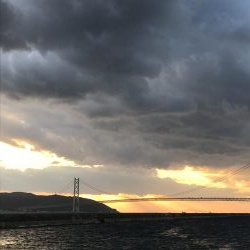 おせんしかいない