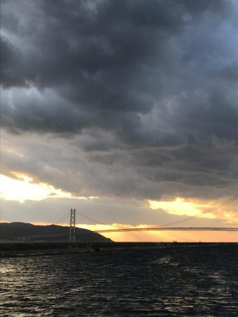 おせんしかいない