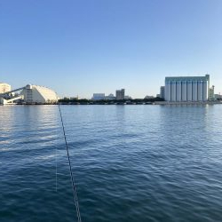 大阪湾いい感じ!