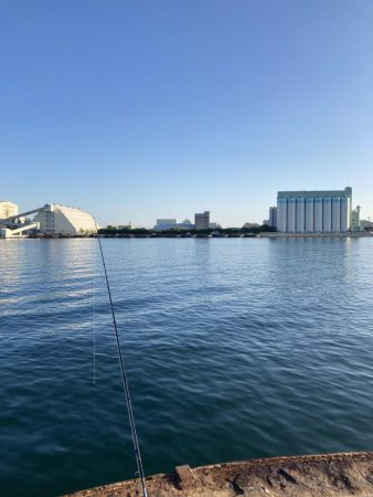 大阪湾いい感じ!