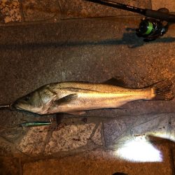 フラッシュブースト！