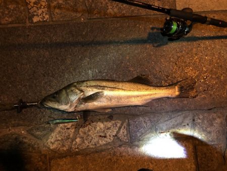 フラッシュブースト！