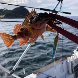 オフショアジギング・バチコンアジング