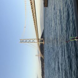 うみけむしの乱