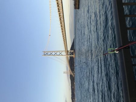 うみけむしの乱