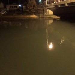 タチウオどこに?