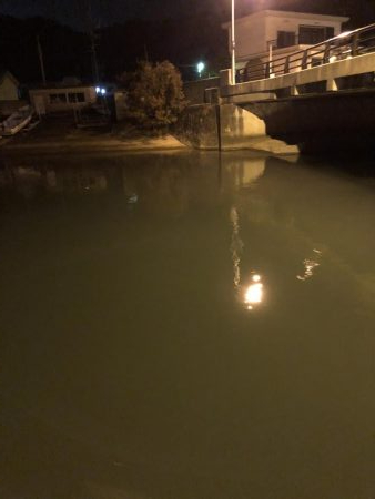 タチウオどこに?