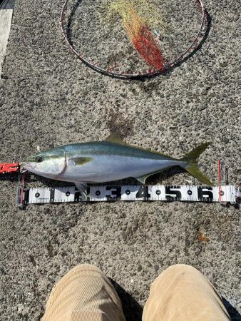 開始一投目からメジロ！！