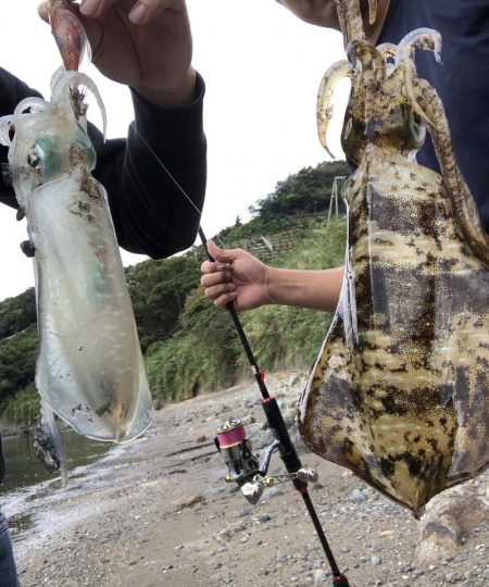 秋イカエギング