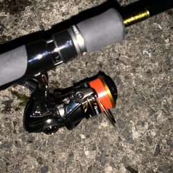 風が吹く中でのアジング