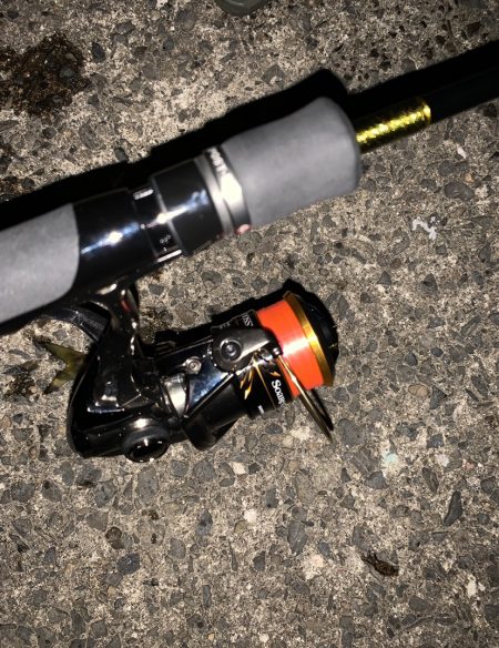 風が吹く中でのアジング