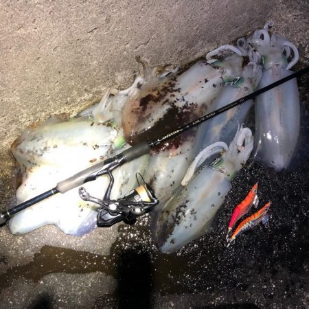 2020 佐渡ヶ島エギング 41回目