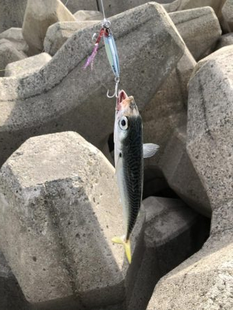 おつかれモード