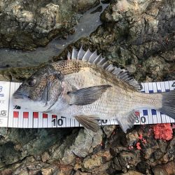 嬉しいかったけど…