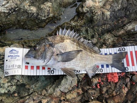 嬉しいかったけど...