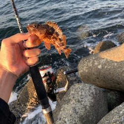 ライトゲーム！！