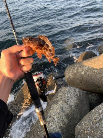 ライトゲーム！！