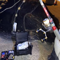 広島からアジを求めて