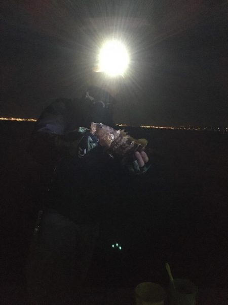 アジはダメでしたが