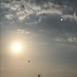 サビキも厳しくなってきました