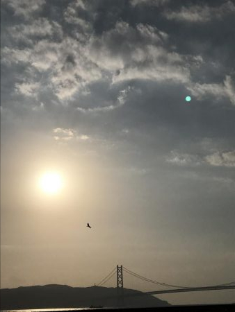 サビキも厳しくなってきました