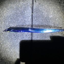 ヤエンに行ったのに