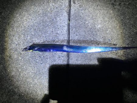 ヤエンに行ったのに