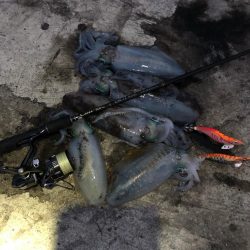 2020佐渡ヶ島エギング 45回目