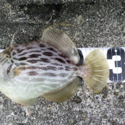 剛剣玉ノ柄　入魂