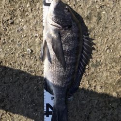 イチノ兄弟、釣果！